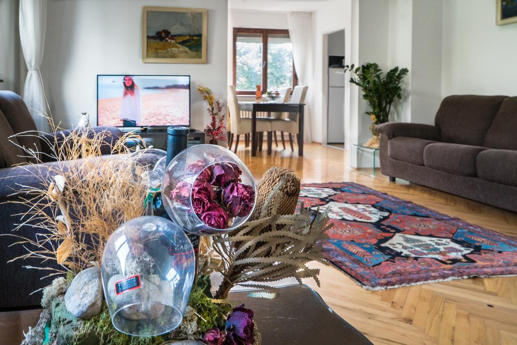 בלגרד Sensitive Apartment מראה חיצוני תמונה